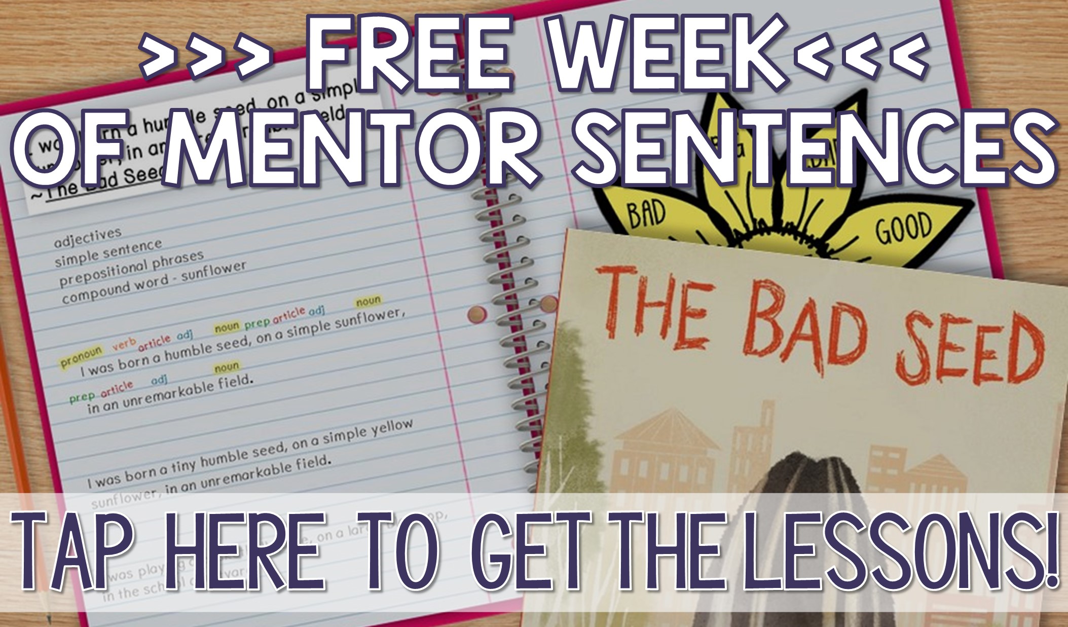 free week of mentor sentences