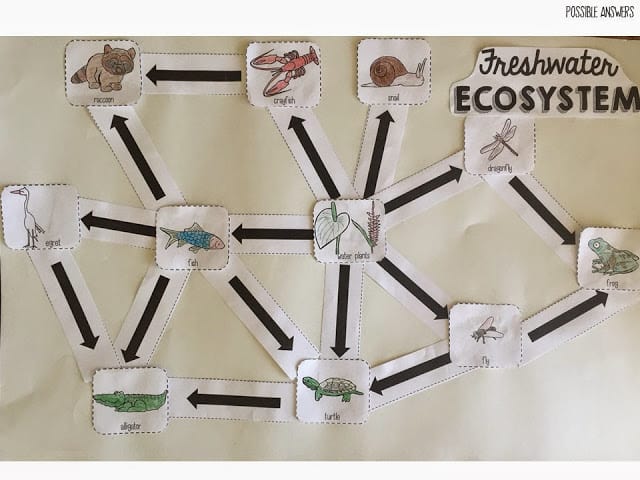 Interactive ecosystems with Ideas by Jivey