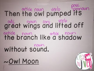 Owl Moon Mentor Sentence Lesson With Ideas by Jivey.