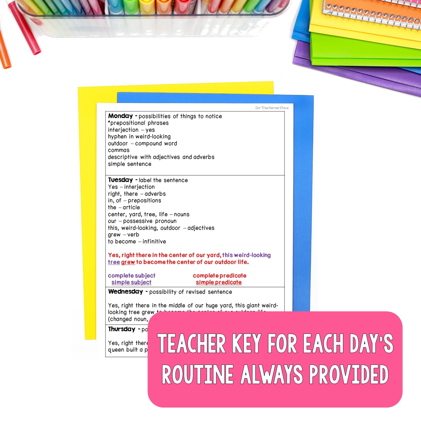 Mentor Sentences Unit: Daily Grammar Vol 1, Fourth 10 Weeks (Grades 3-5) - Image 4