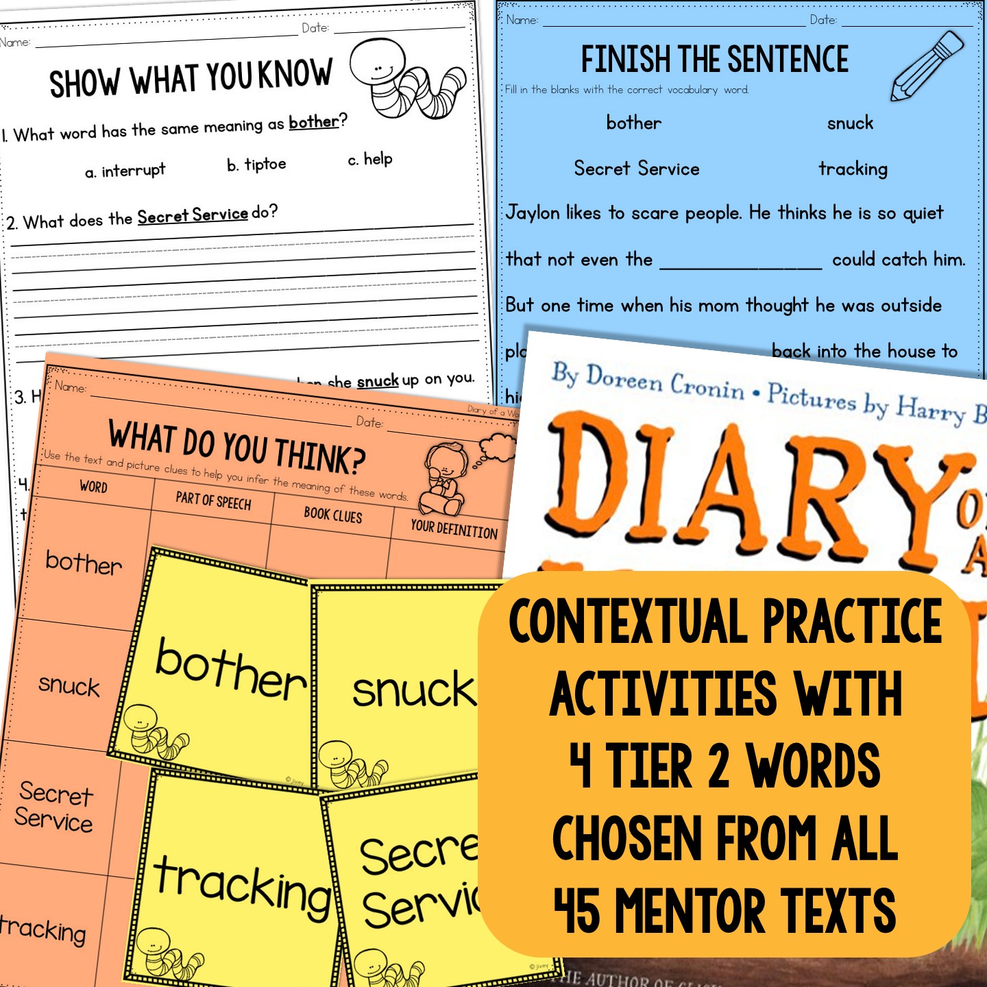 Contextual vocabulary activity from a mentor text