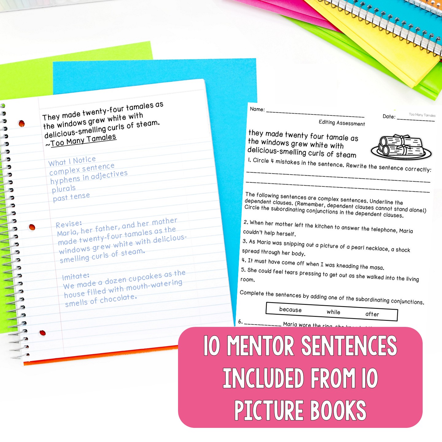 Mentor Sentences Unit: Daily Grammar Vol 3, Second 10 Weeks (Grades 3-5) - Image 2