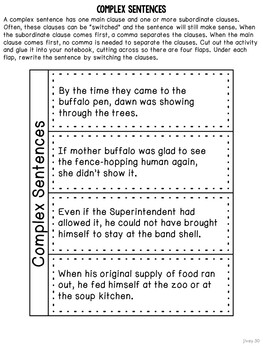 Maniac Magee Mentor Sentences & Interactive Activities Mini-Unit (gr. 4-6) - Image 3