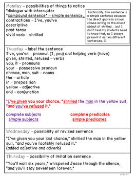 Tuck Everlasting Mentor Sentences & Interactive Activities Mini-Unit (gr. 4-6) - Image 2