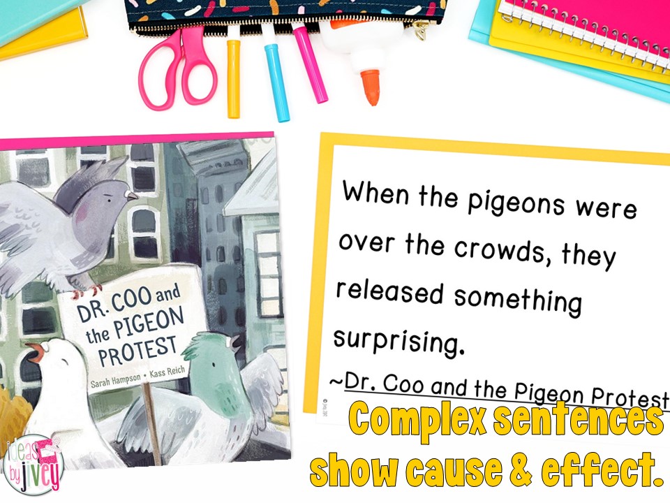 Dr Coo and the Pigeon Protest Mentor Text and Mentor Sentence