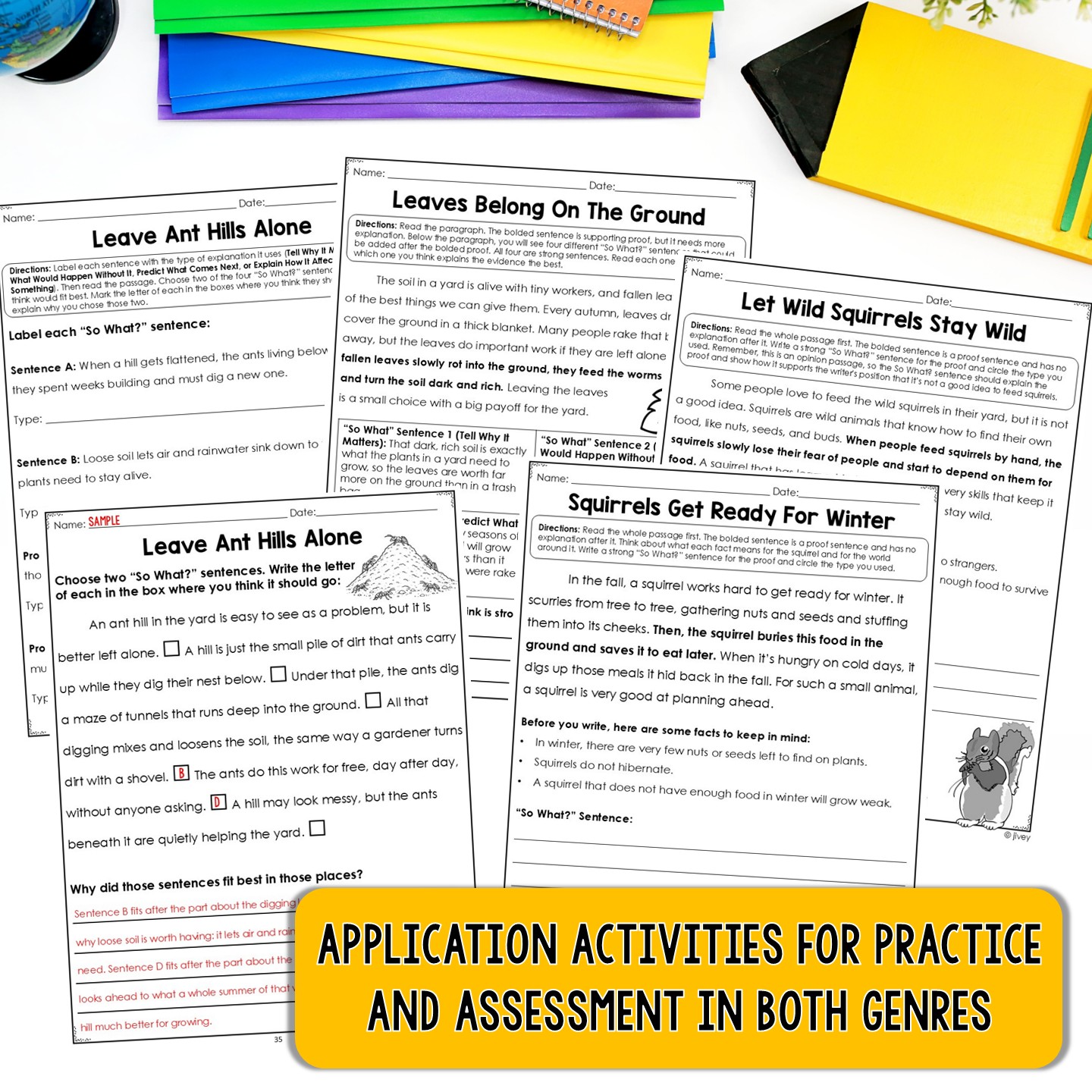 Revise With a Strong Explanation elaboration activities for adding a So What? sentence, grades 2-3