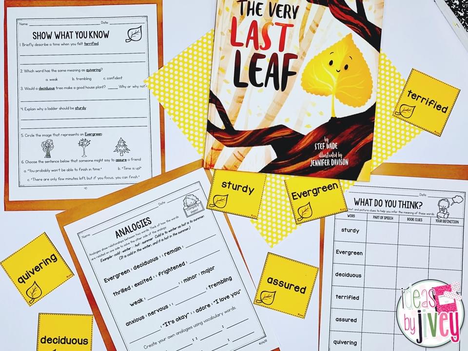 interactive read aloud vocabulary lesson
